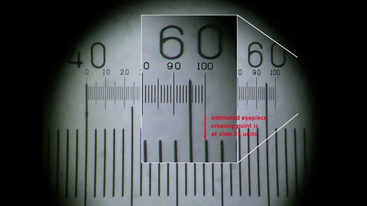 Nikon Microscope Calibration