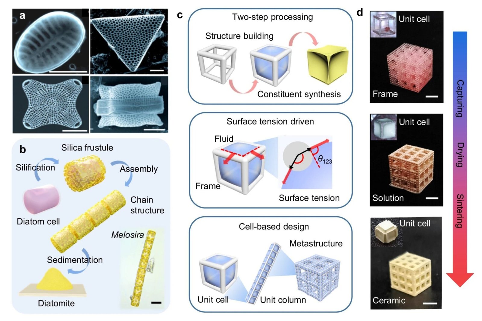 Ceramic Feedstock Development
