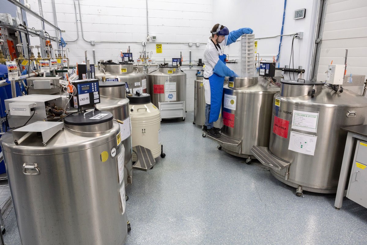 Dual-Factory Capacity: Samples to Mass Production