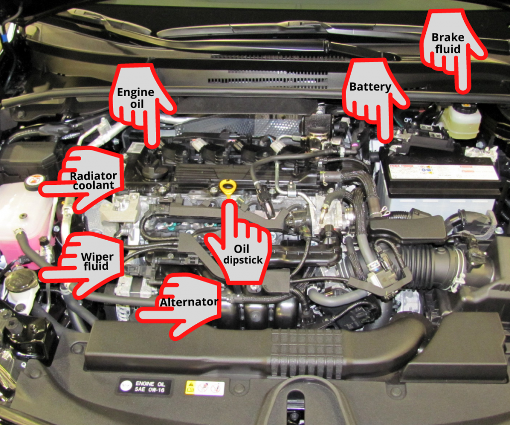 Under-Hood Engine Components