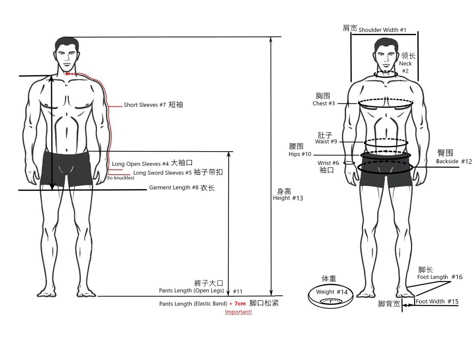 Custom Shoulder Dimensions