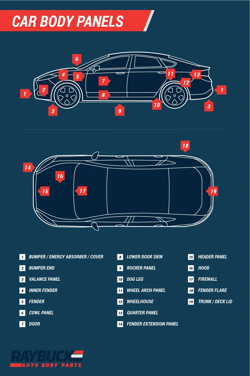 Exterior Body Parts